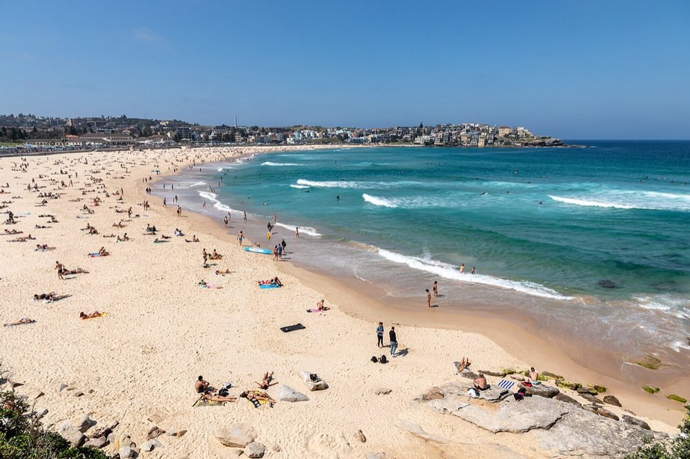 Workshop day two, or Bondi