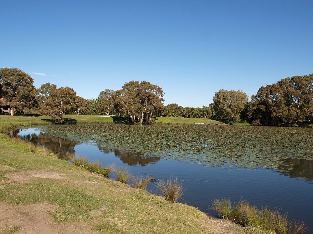 WILD PLAY Garden, Centennial Park