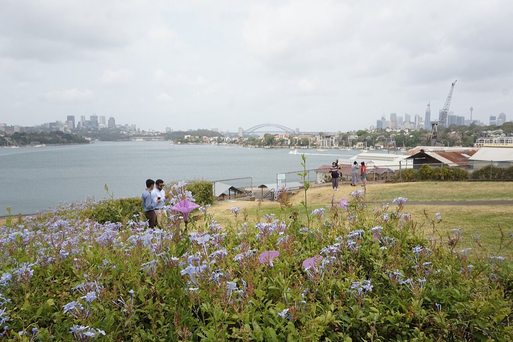 Cockatoo Island, looking across the harbour to the city and the Harbour Bridge