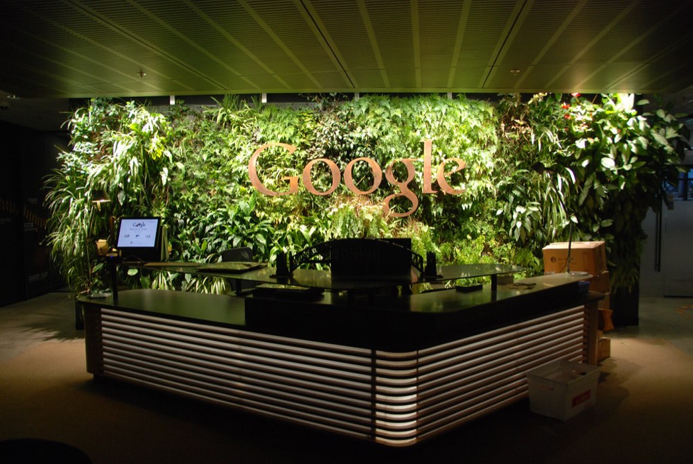 The rainforest lobby at Google Sydney