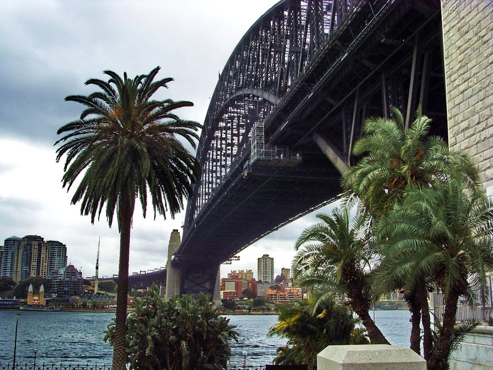 The Bridge from below, framed by palms