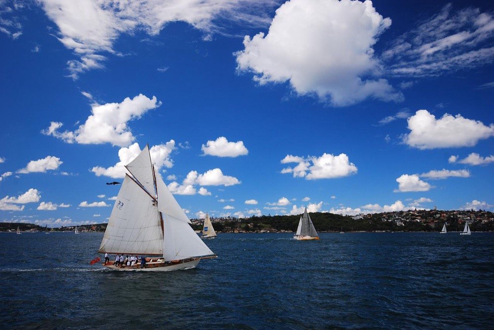 Sailing boats on a sunny day