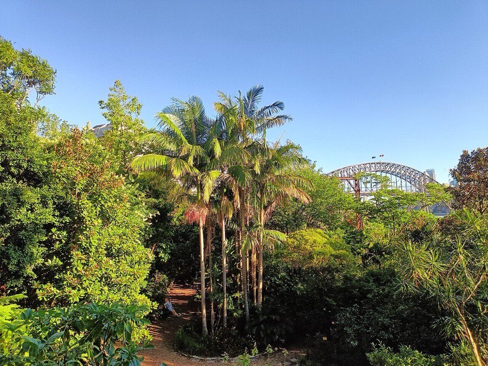 Wendy's Secret Garden